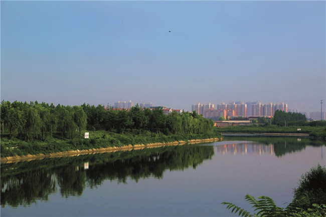 公司實(shí)施BT項(xiàng)目石家莊市環(huán)城水系（東南部分）河道及園林綠化工程項(xiàng)目5標(biāo)